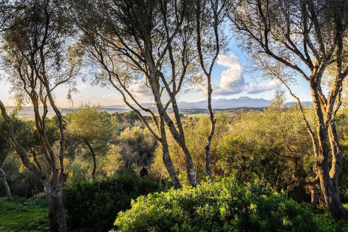 Finca Es Pujol María de la Salud Dış mekan fotoğraf